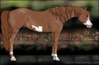 Horse Color:Chestnut Frame 