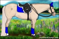 Horse Color:Silver Amber Champagne Dun 