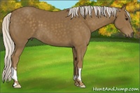 Horse Color:Silver Smoky Black 