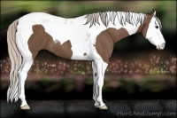 Horse Color:Silver Black Splash Tobiano