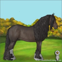 Horse Color:Smoky Black Rabicano 