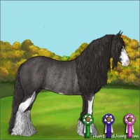 Horse Color:Smoky Black Sabino Rabicano 