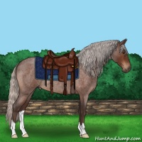 Horse Color:Silver Brown Roan 