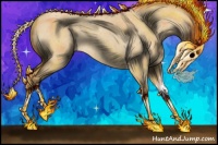 Horse Color:Buckskin Roan Dun Sabino Rabicano