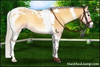 Horse Color:Silver Buckskin Roan Onyx Tobiano 