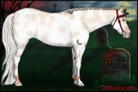 Horse Color:Silver Sable Champagne Dun Sabino Splash Frame Rabicano