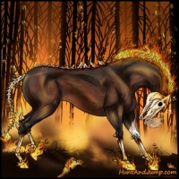 Horse Color:Brown Varnish Rabicano 
