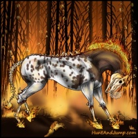 Horse Color:Liver Chestnut Splash Appaloosa 