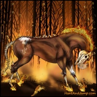 Horse Color:Silver Bay Sabino Appaloosa 