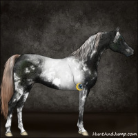 Horse Color:White Spotted Liver Chestnut Ice 