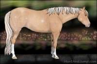 Horse Color:Silver Classic Champagne
