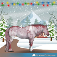 Horse Color:Watercolor White Spotted Liver Red Dun Tobiano Brindle 