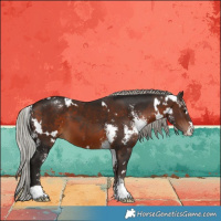 Horse Color:White Spotted Silver Brown  and Gray Silver Bay Sabino 