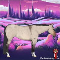 Horse Color:Bay Roan Dun 