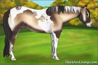 Horse Color:Liver Red Onyx Tobiano 