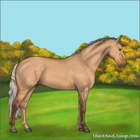 Horse Color:Silver Bay Dun 