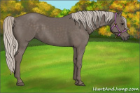 Horse Color:Silver Black 