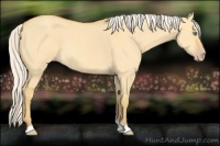 Horse Color:Silver Amber Cream Champagne Dun 