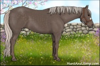 Horse Color:Silver Black 
