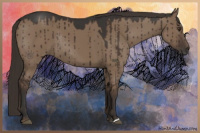 Horse Color:Liver Red Dun Rabicano Brindle 