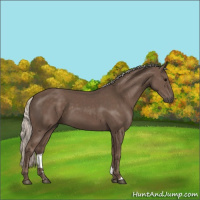 Horse Color:Silver Black 