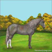 Horse Color:Silver Black 