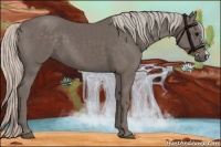 Horse Color:Silver Black 