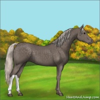 Horse Color:Silver Black 