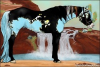 Horse Color:Watercolor Black Splash Tobiano 