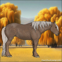 Horse Color:Silver Black