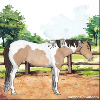 Horse Color:Amber Champagne Tobiano Rabicano