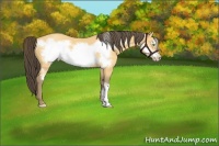 Horse Color:Amber Cream Champagne Frame 