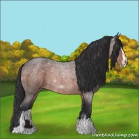 Horse Color:Brown Roan Sabino 
