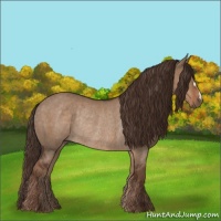 Horse Color:Liver Red Dun Rabicano