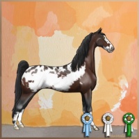 Horse Color:Brown Frame Appaloosa 