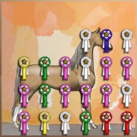 Horse Color:Chocolate Palomino Dun 