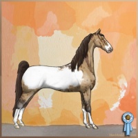 Horse Color:Buckskin Dun Frame Snowcap Brindle 