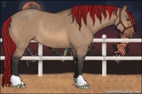 Horse Color:Painted Bay Dun Rabicano 