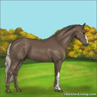 Horse Color:Silver Black 