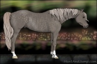 Horse Color:Silver Black Rabicano
