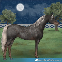 Horse Color:White Spotted Liver Chestnut Mushroom Rabicano 