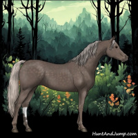 Horse Color:Silver Black 