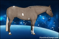 Horse Color:Gray Silver Grullo Roan Tobiano 