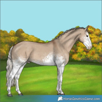 Horse Color:White Spotted Silver Grullo Tobiano 