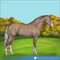 Horse Color:Silver Grullo 