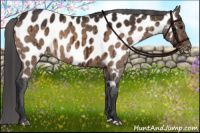Horse Color:Brown Dun Near Leopard Rabicano Brindle 