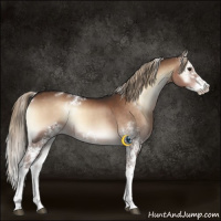 Horse Color:White Spotted Liver Red Onyx Sabino Splash 