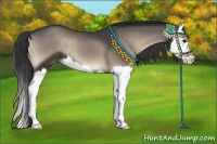 Horse Color:Blue Onyx Splash 
