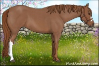 Horse Color:Red Roan