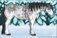 Horse Color:White Spotted Blue Roan Rabicano  and White Spotted Blue Roan Rabicano 